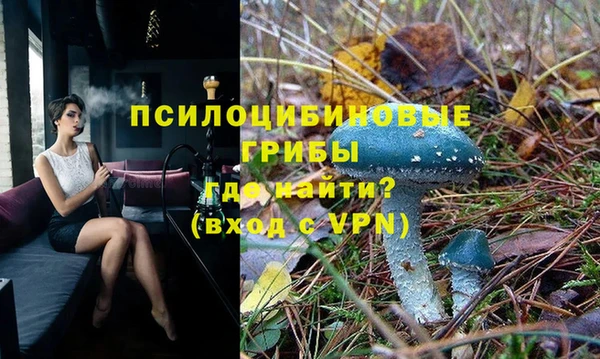спиды Зеленодольск