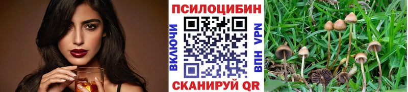 Купить закладки Новоульяновск Псилоцибиновые грибы Cubensis